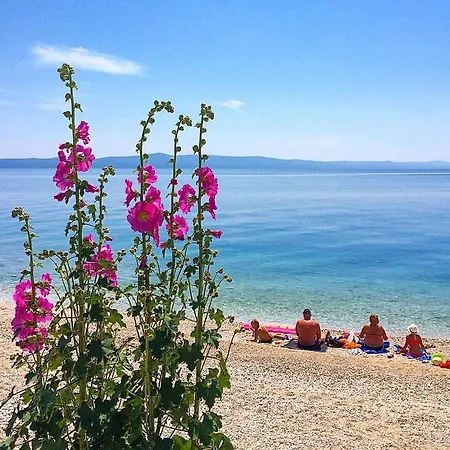 Marta Podgora (Split-Dalmatia)